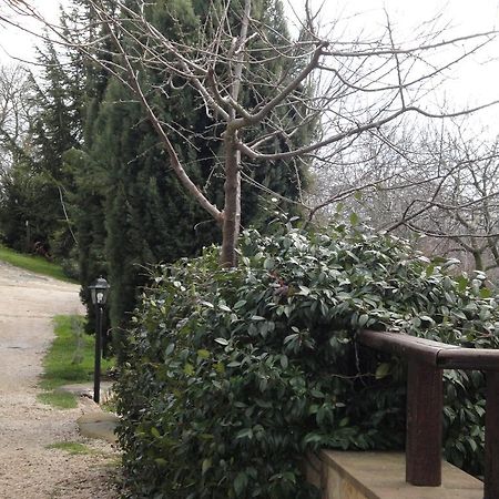 Agriturismo Le Valli Hotel Acuto Zewnętrze zdjęcie