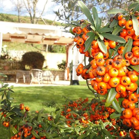 Agriturismo Le Valli Hotel Acuto Zewnętrze zdjęcie