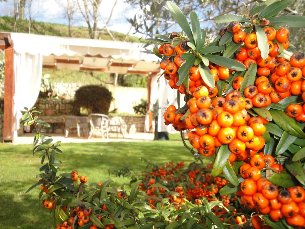 Agriturismo Le Valli Hotel Acuto Zewnętrze zdjęcie