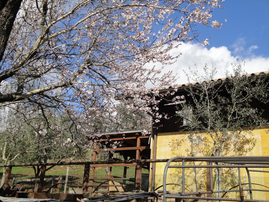 Agriturismo Le Valli Hotel Acuto Zewnętrze zdjęcie